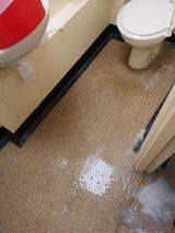 Floor Polish Stripping And Re-Polishing 
