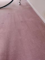 Carpet Cleaning Jobs